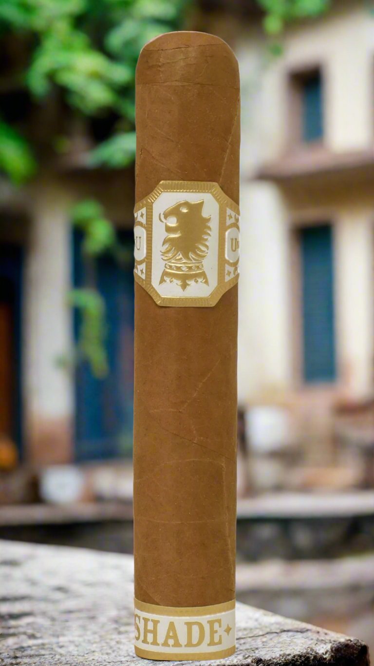 A single Drew Estate Undercrown Shade Robusto cigar in a castle courtyard.