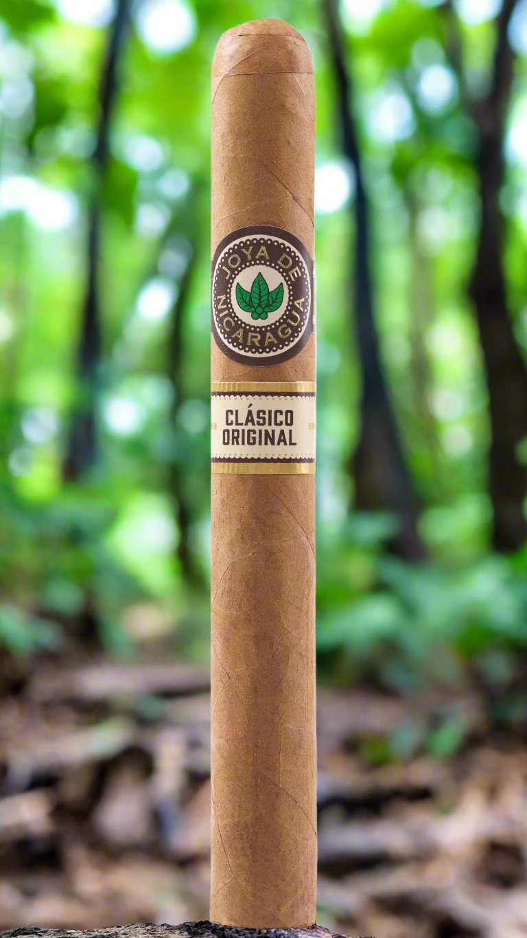 A single Joya De Nicaragua Clasico Seleccion B cigar in the forests of Nicargua