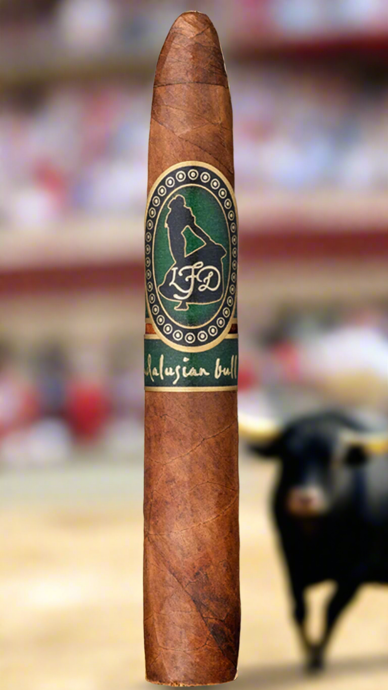 A single La Flor Dominicana Andalusian Bull in a bull pen