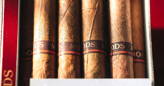 Cigar collecting as a hobby: Cultivating taste, style, and premium cigars