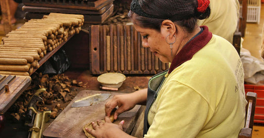 Cigar wrappers explained: Quality, craft, and consistency in premium cigars
