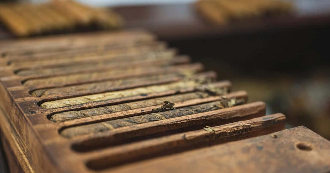 The science of cigar ageing: How time shapes flavour in premium cigars and New world cigars