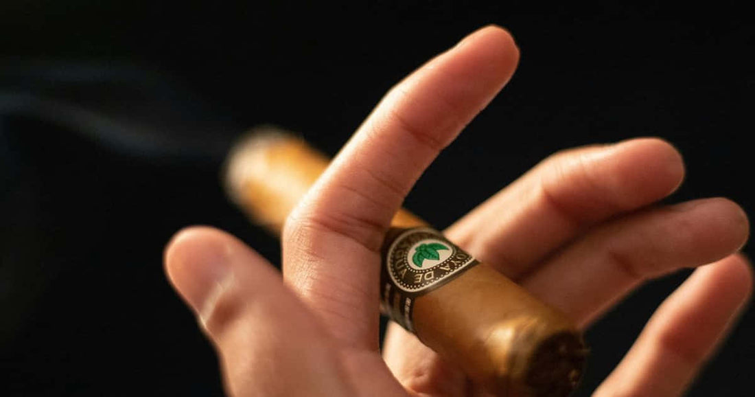 Discovering the Best new world cigars: Rare finds and collectible gems